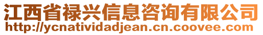江西省祿興信息咨詢有限公司