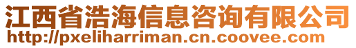 江西省浩海信息咨詢有限公司