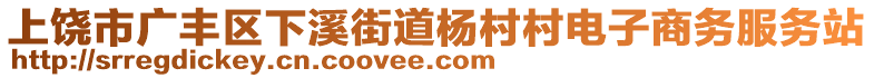 上饒市廣豐區(qū)下溪街道楊村村電子商務(wù)服務(wù)站