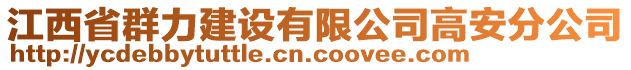 江西省群力建設(shè)有限公司高安分公司