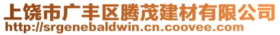 上饒市廣豐區(qū)騰茂建材有限公司