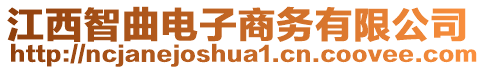 江西智曲電子商務(wù)有限公司