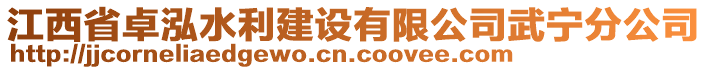 江西省卓泓水利建設(shè)有限公司武寧分公司