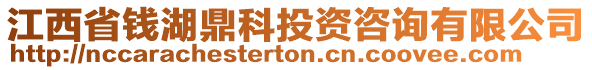 江西省錢(qián)湖鼎科投資咨詢有限公司