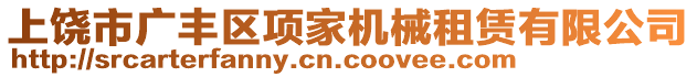 上饒市廣豐區(qū)項家機械租賃有限公司