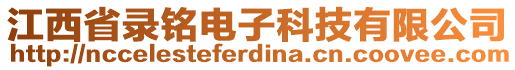 江西省錄銘電子科技有限公司