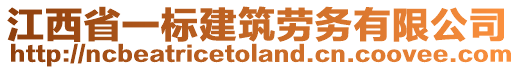江西省一標建筑勞務有限公司
