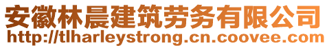 安徽林晨建筑勞務有限公司