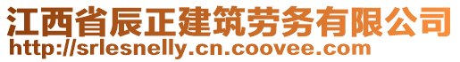 江西省辰正建筑勞務(wù)有限公司