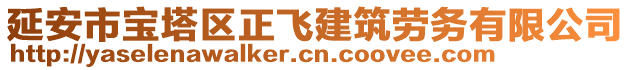 延安市寶塔區(qū)正飛建筑勞務(wù)有限公司