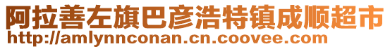 阿拉善左旗巴彥浩特鎮(zhèn)成順超市