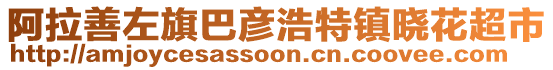 阿拉善左旗巴彥浩特鎮曉花超市