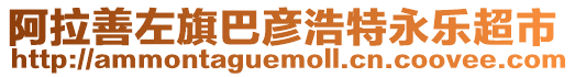 阿拉善左旗巴彥浩特永樂超市