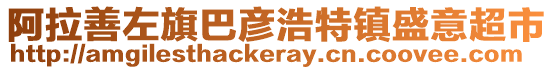 阿拉善左旗巴彥浩特鎮(zhèn)盛意超市