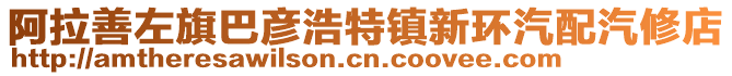 阿拉善左旗巴彥浩特鎮新環汽配汽修店