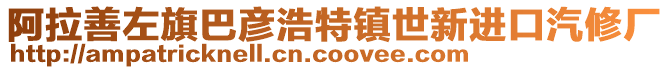 阿拉善左旗巴彥浩特鎮(zhèn)世新進口汽修廠