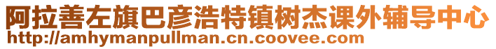 阿拉善左旗巴彥浩特鎮樹杰課外輔導中心