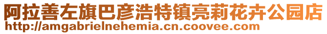 阿拉善左旗巴彥浩特鎮(zhèn)亮莉花卉公園店