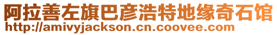 阿拉善左旗巴彥浩特地緣奇石館