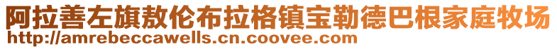 阿拉善左旗敖倫布拉格鎮寶勒德巴根家庭牧場