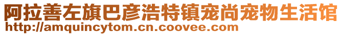 阿拉善左旗巴彥浩特鎮寵尚寵物生活館