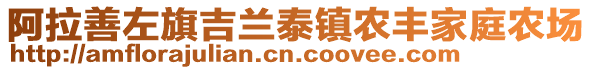 阿拉善左旗吉蘭泰鎮農豐家庭農場