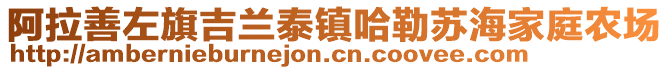 阿拉善左旗吉蘭泰鎮(zhèn)哈勒蘇海家庭農(nóng)場(chǎng)