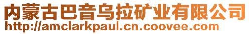 內(nèi)蒙古巴音烏拉礦業(yè)有限公司