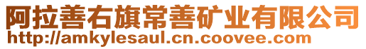 阿拉善右旗常善礦業(yè)有限公司