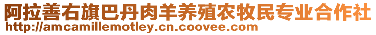 阿拉善右旗巴丹肉羊養(yǎng)殖農(nóng)牧民專業(yè)合作社