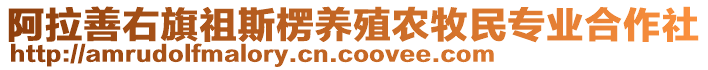 阿拉善右旗祖斯楞養(yǎng)殖農(nóng)牧民專業(yè)合作社