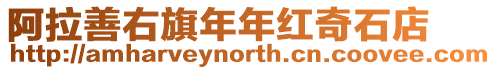 阿拉善右旗年年紅奇石店