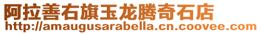 阿拉善右旗玉龍騰奇石店
