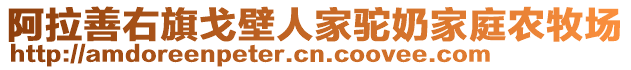 阿拉善右旗戈壁人家駝奶家庭農(nóng)牧場(chǎng)