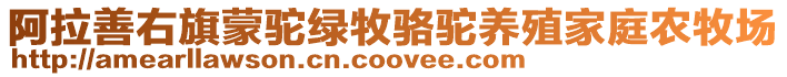 阿拉善右旗蒙駝綠牧駱駝養(yǎng)殖家庭農(nóng)牧場