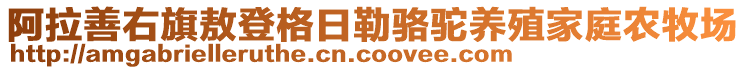 阿拉善右旗敖登格日勒駱駝養(yǎng)殖家庭農(nóng)牧場