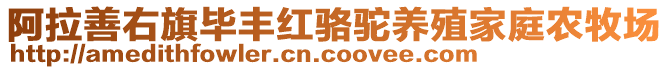 阿拉善右旗畢豐紅駱駝養(yǎng)殖家庭農(nóng)牧場(chǎng)