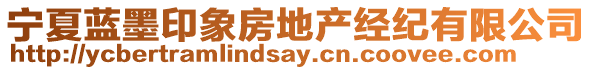 寧夏藍(lán)墨印象房地產(chǎn)經(jīng)紀(jì)有限公司