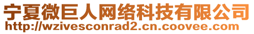 寧夏微巨人網(wǎng)絡科技有限公司