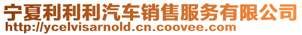 寧夏利利利汽車銷售服務(wù)有限公司