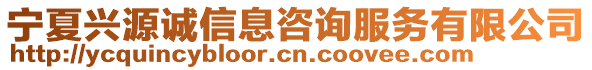 寧夏興源誠(chéng)信息咨詢服務(wù)有限公司