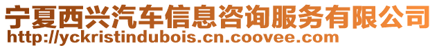 寧夏西興汽車信息咨詢服務(wù)有限公司