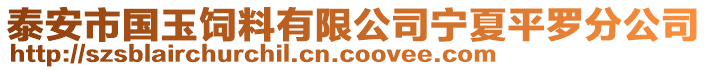 泰安市國玉飼料有限公司寧夏平羅分公司