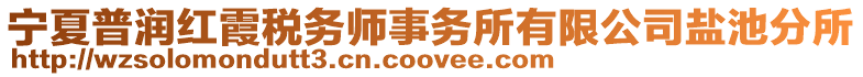 寧夏普潤紅霞稅務師事務所有限公司鹽池分所