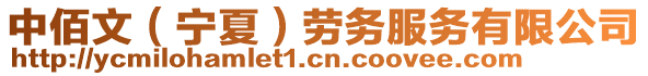 中佰文（寧夏）勞務(wù)服務(wù)有限公司