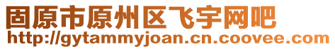 固原市原州區(qū)飛宇網(wǎng)吧