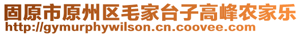 固原市原州區(qū)毛家臺(tái)子高峰農(nóng)家樂(lè)