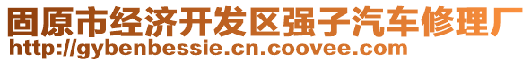 固原市經(jīng)濟(jì)開發(fā)區(qū)強(qiáng)子汽車修理廠