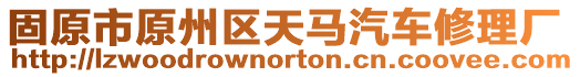 固原市原州區(qū)天馬汽車修理廠