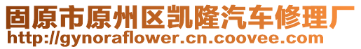 固原市原州區(qū)凱隆汽車修理廠